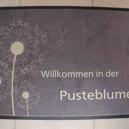 Ferienwohnung Pusteblume Cochem Oda fotoğraf