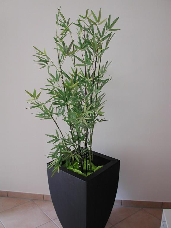Ferienwohnung Pusteblume Cochem Oda fotoğraf