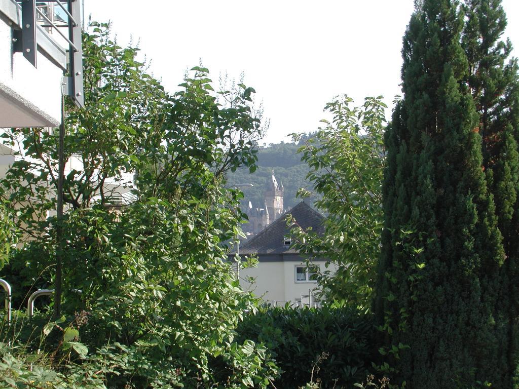 Ferienwohnung Pusteblume Cochem Oda fotoğraf